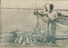 Umschlagbild für Fisherman's Catch