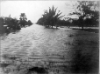 Imagen de portada para Flooded Street at Boca Grande